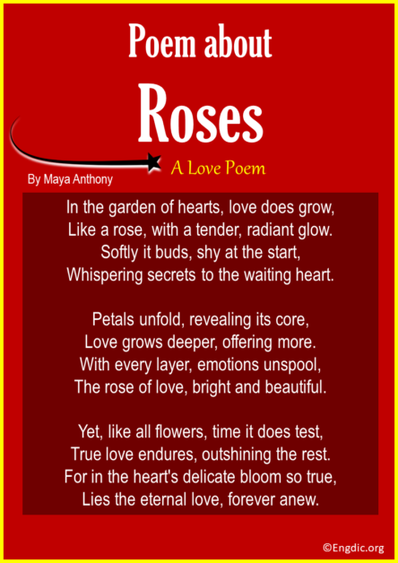 16 Best Refreshing Poems About Roses - Engdic