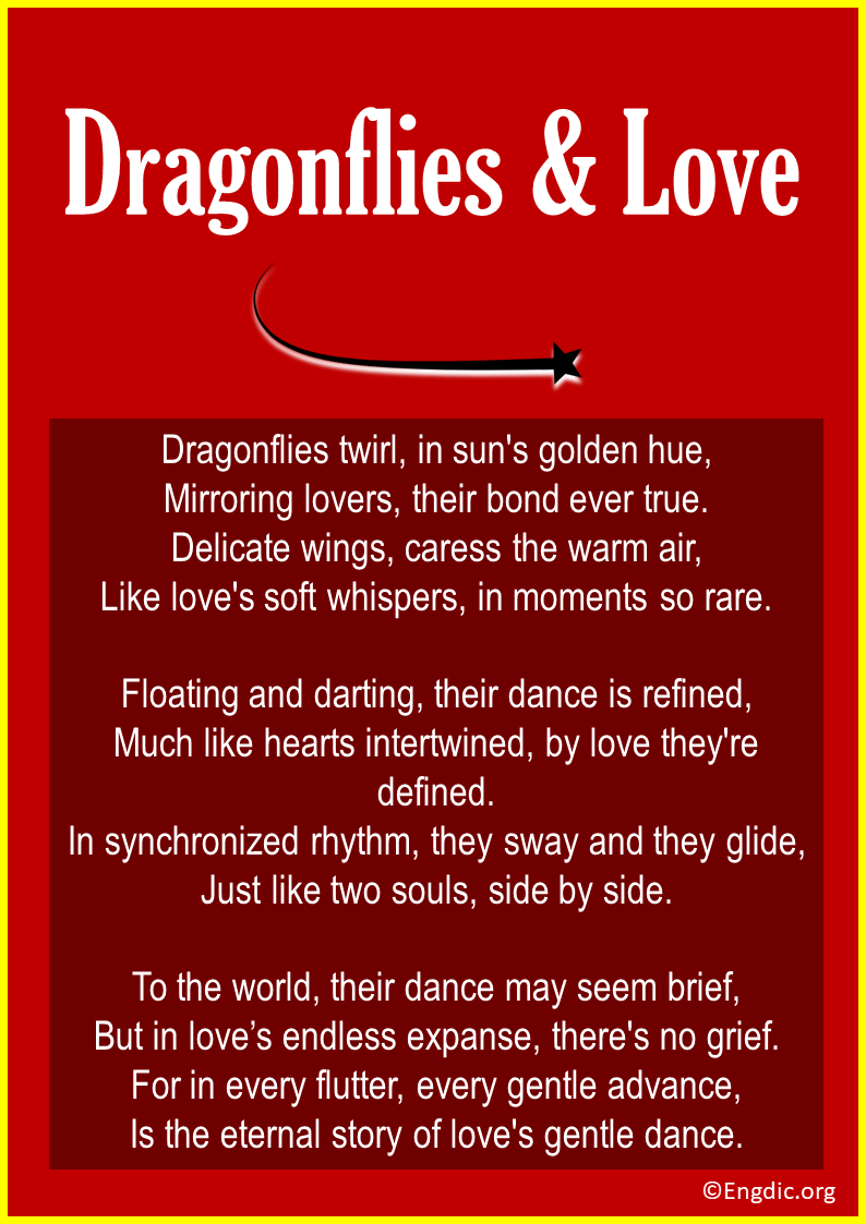 Poems About Dragonflies & Love
