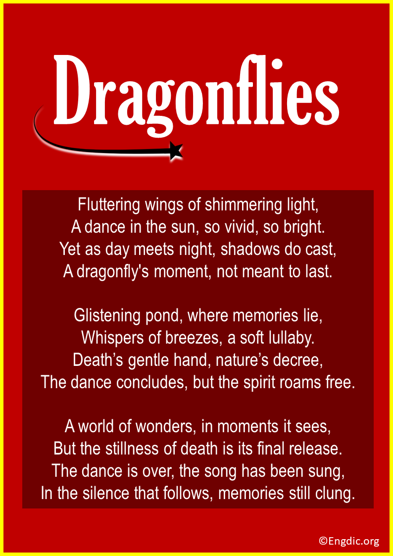 Poems About Dragonflies