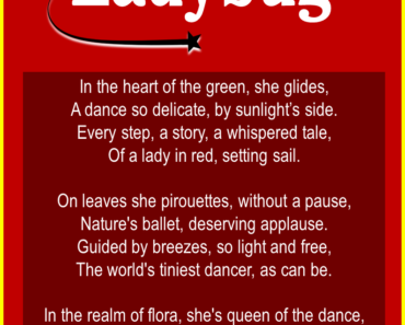 10 Short & Inspirational Poems About Ladybug