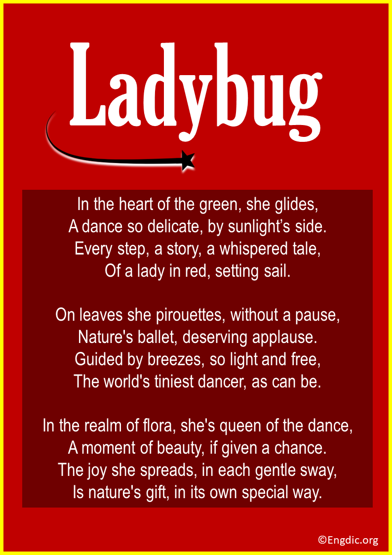 Poems About Ladybug