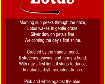 10 Best Refreshing Poems About Lotus