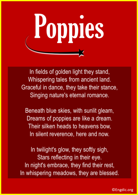 10 Best Refreshing Poems About Poppies - EngDic