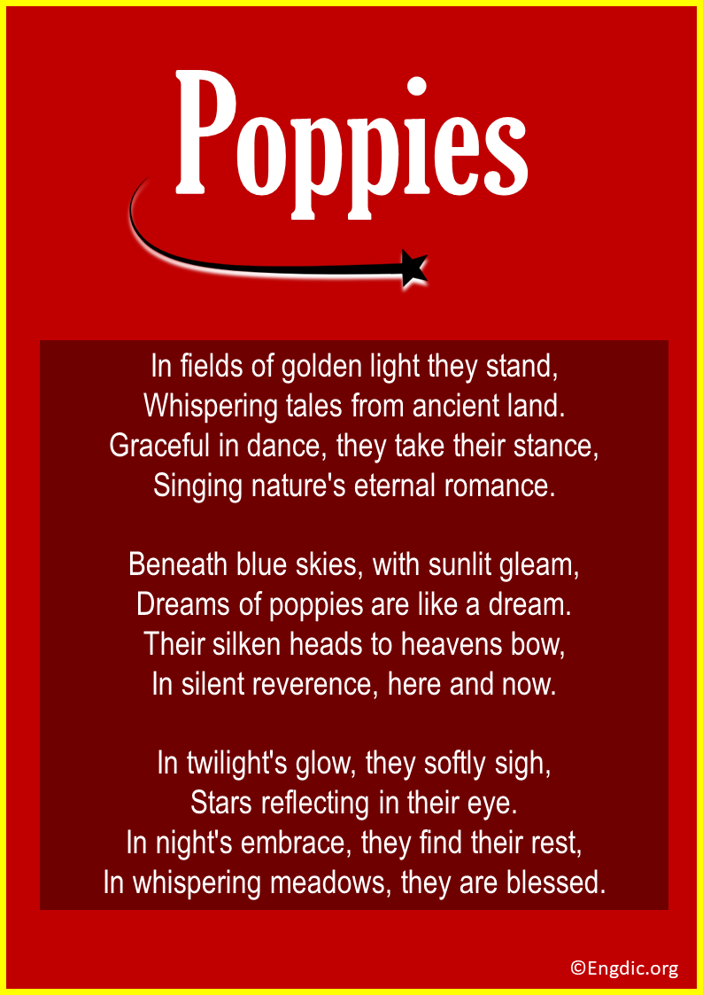 Poems About Poppies