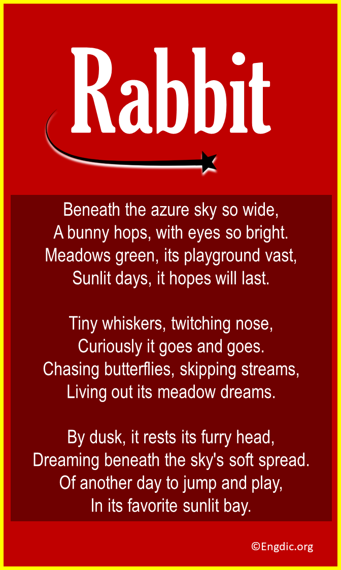 10 Poems About Rabbit (Short & Funny) - EngDic