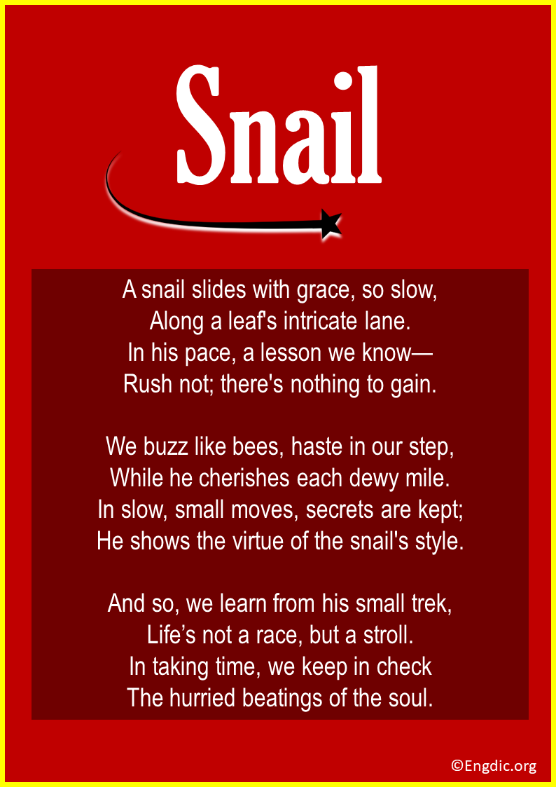 Poems About Snail