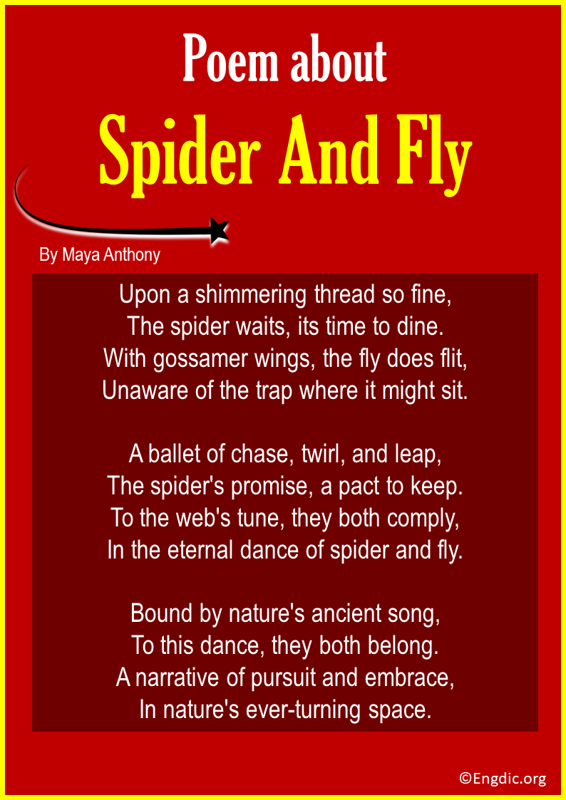 Poems About Spider And Fly