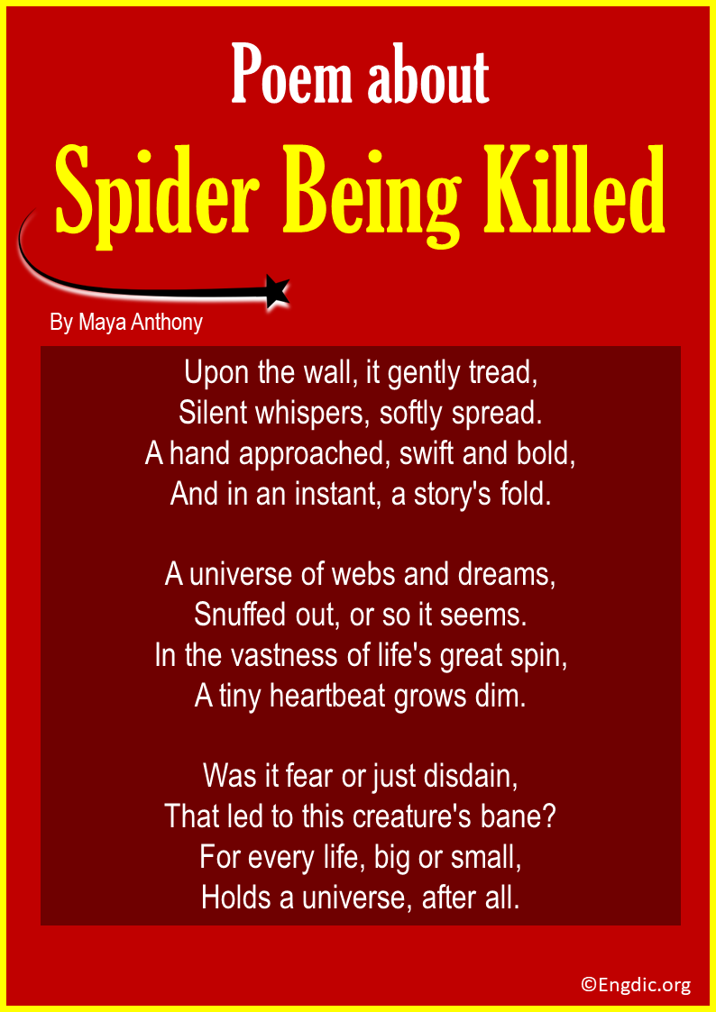 Poems About Spider Being Killed