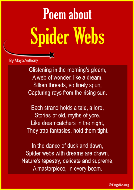 15 Best Short Poems About Spider - EngDic