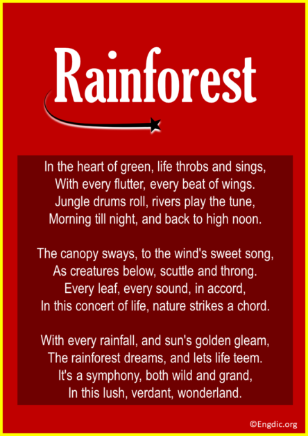 13 Short Poems About Forest And Rain Forest - EngDic