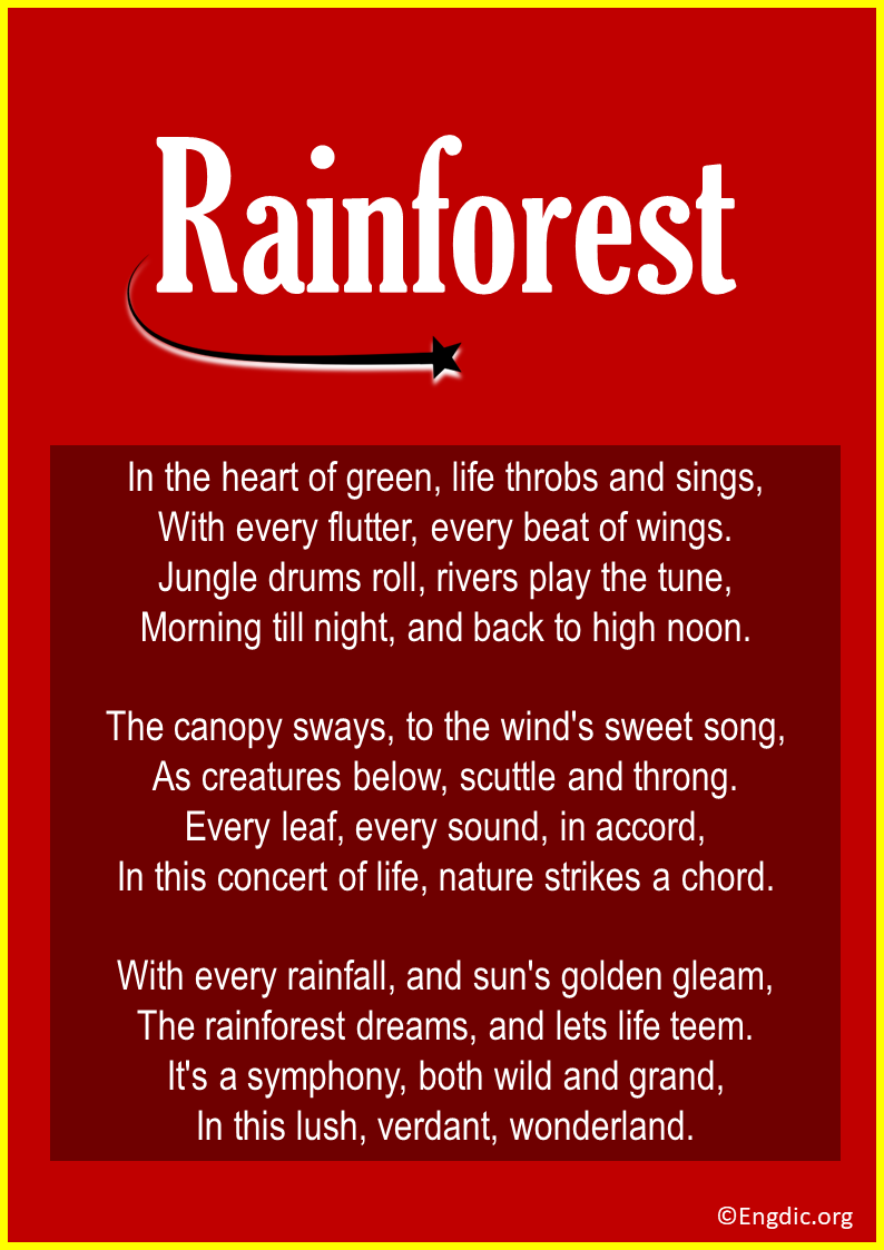 Poems About The Rainforest