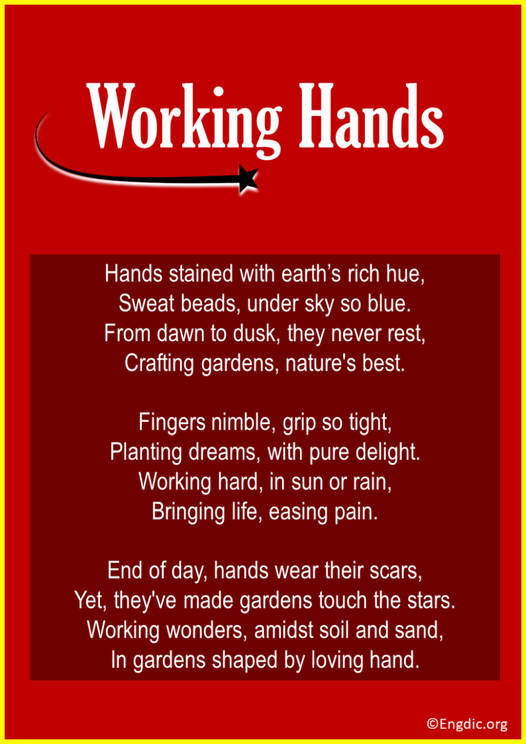 14 Poems About Hands (Beautiful, Old, Working Hands) - EngDic