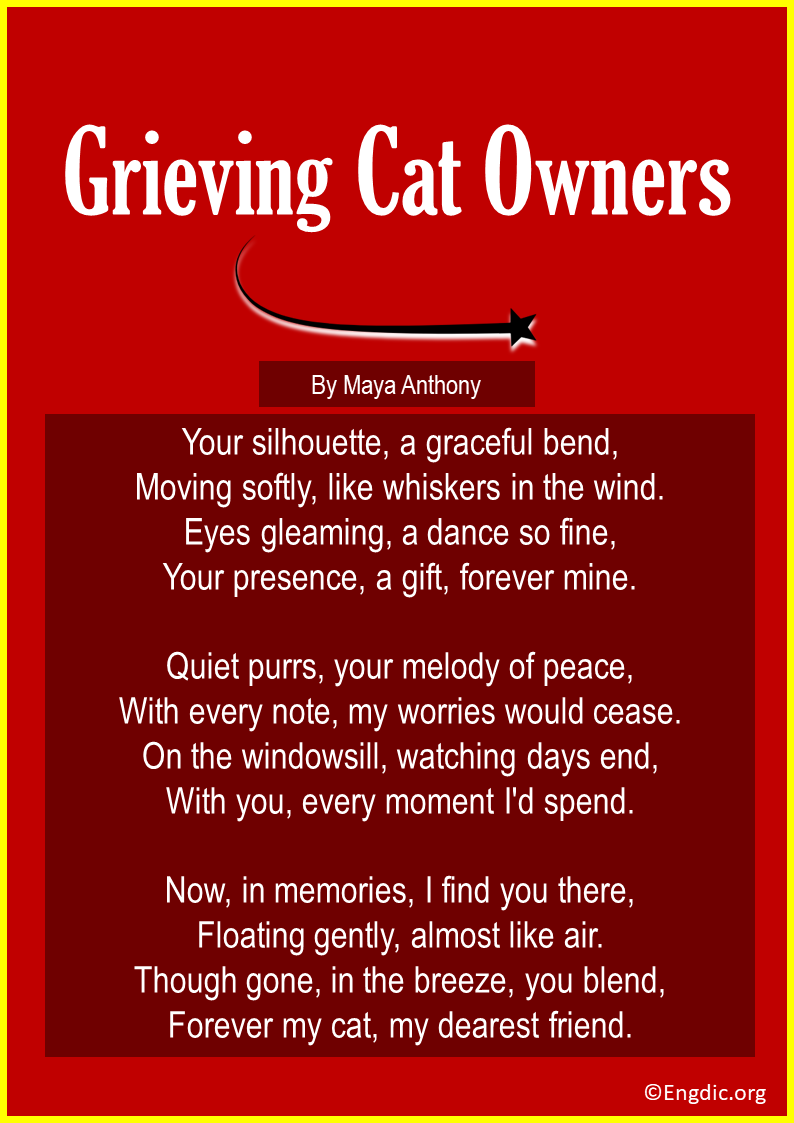 11 Poems For Grieving Pet Owners (cats & Dogs) - Engdic