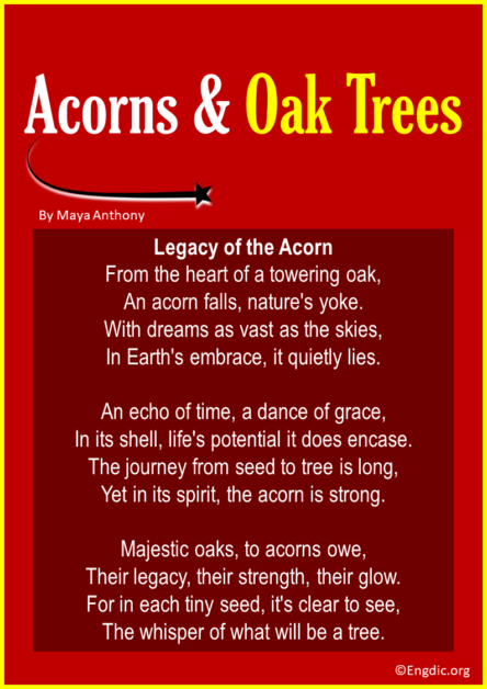 13 Best Short Poems about Acorns & Oak Trees - EngDic