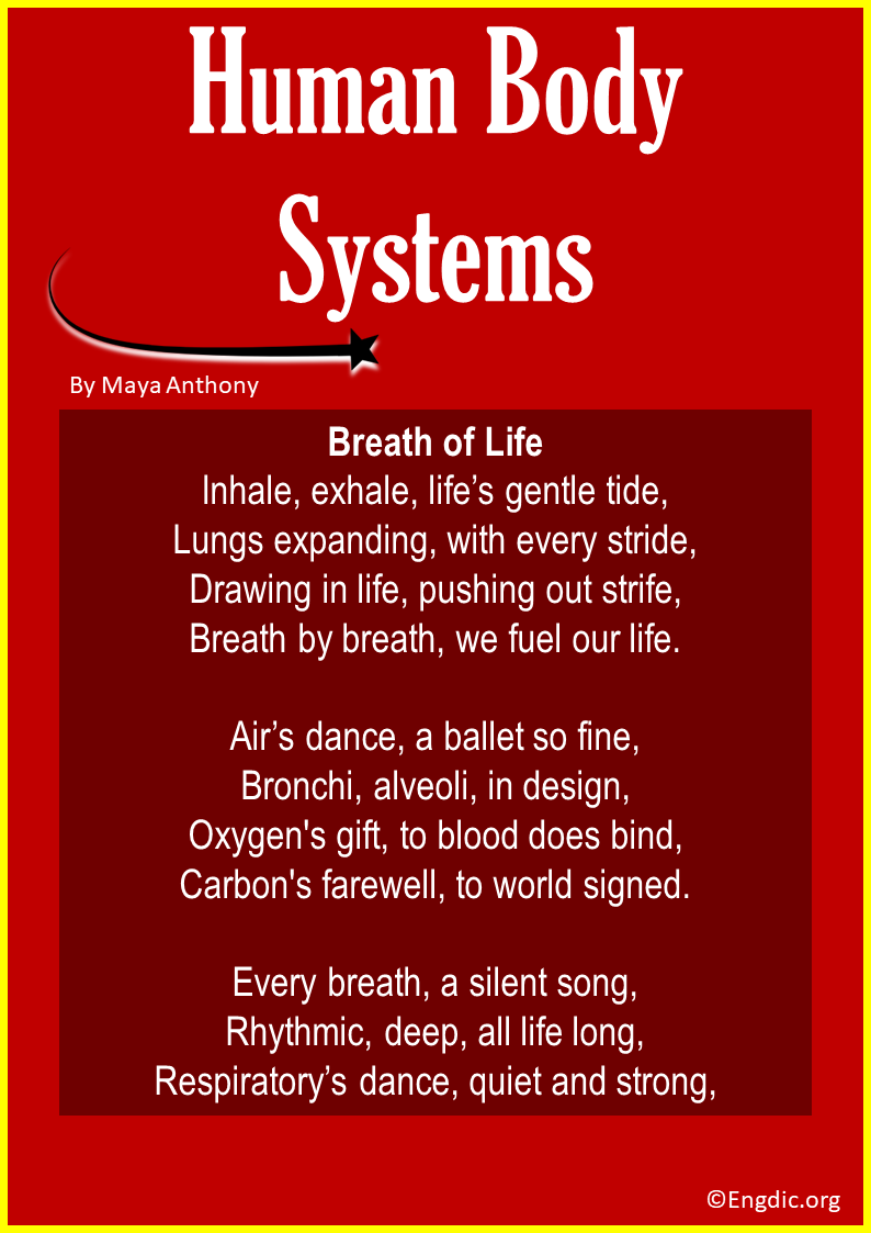 Poems about the Human Body Systems