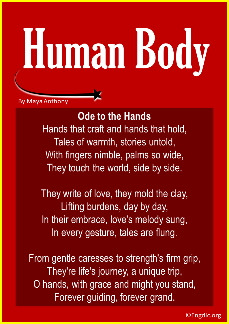 Praising Poems about the Human Body