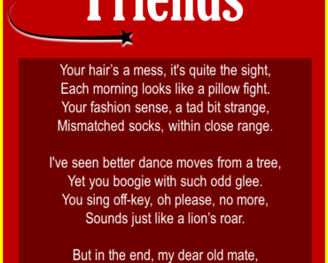 10 Rude & Insulting Poems For Friends