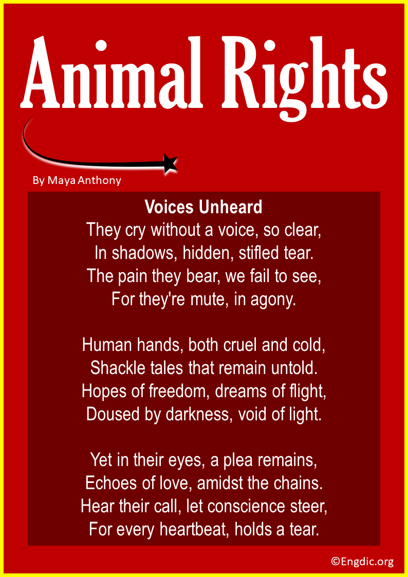 Short Animal Rights Poems