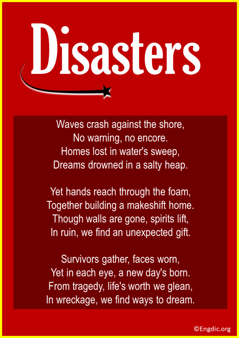 10 Best Poems About Disasters & Hazard - EngDic