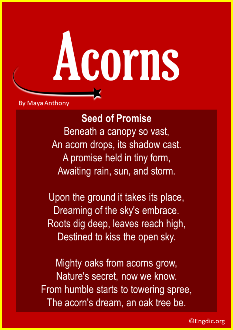 13 Best Short Poems about Acorns & Oak Trees - EngDic