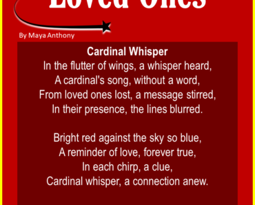 10 Best Cardinal Poems about Loved Ones