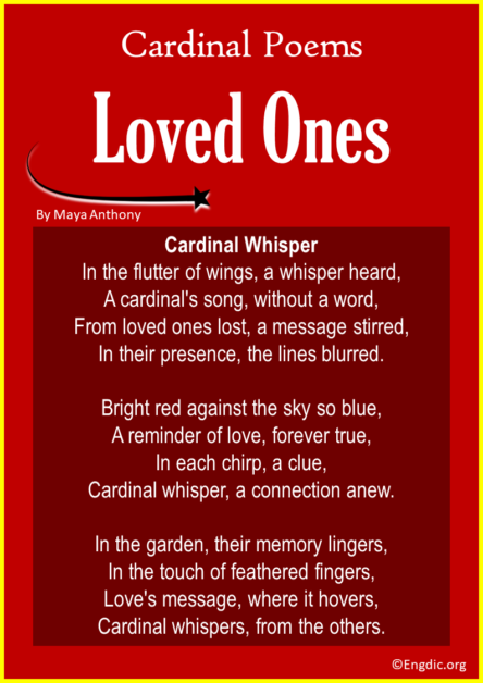 10 Best Cardinal Poems about Loved Ones - EngDic