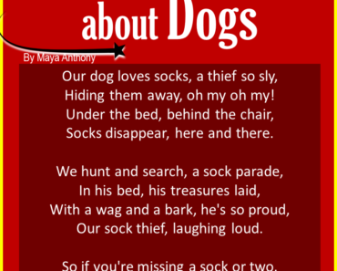 10 Best Funny Poems about Dogs