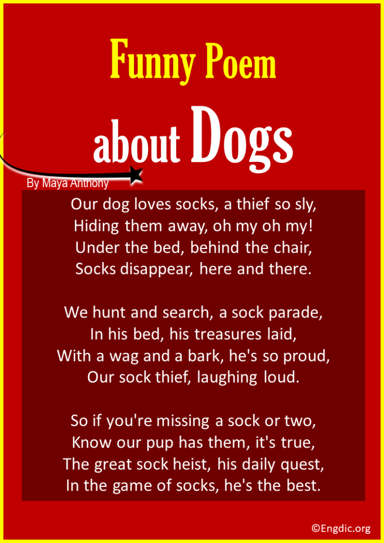 10 Best Funny Poems about Dogs - EngDic