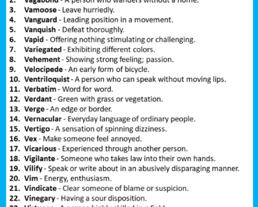 60 Funny Words That Start With V (With Meanings)