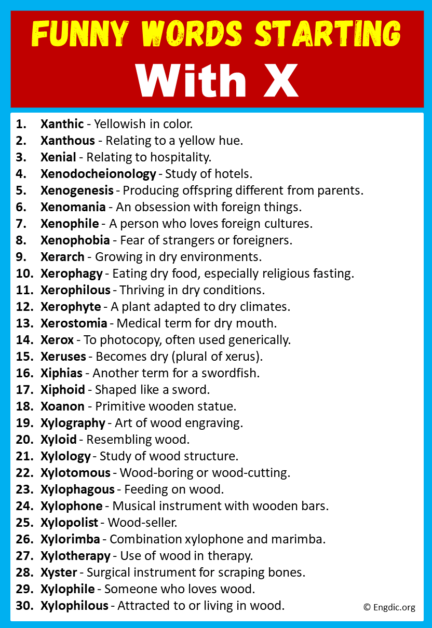 30 Funny Words That Start With X (With Meanings) - EngDic