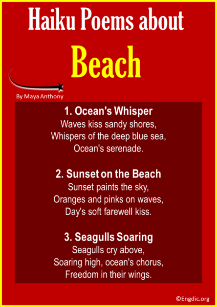 10 Best Haiku Poems about Beach - EngDic
