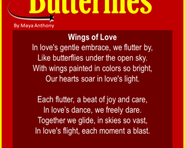 10 Best Love Poems about Butterflies