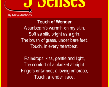 10 Best Short Poems about 5 Senses