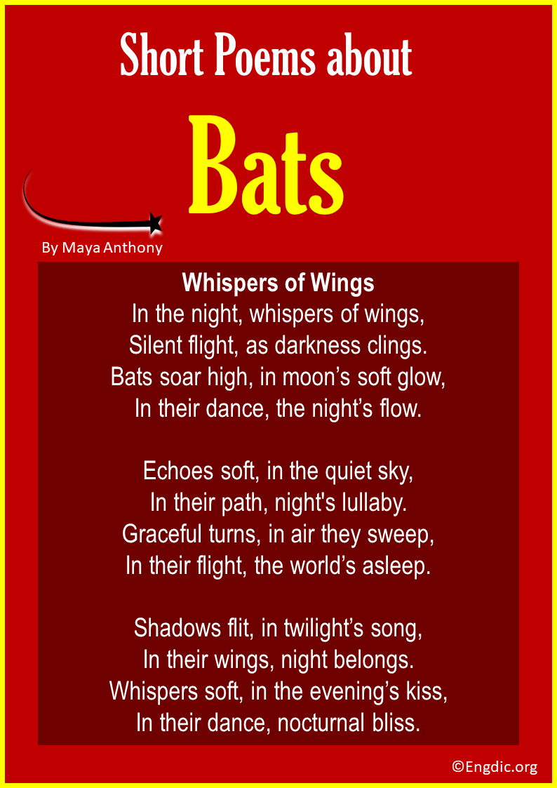 Short Poems about Bats