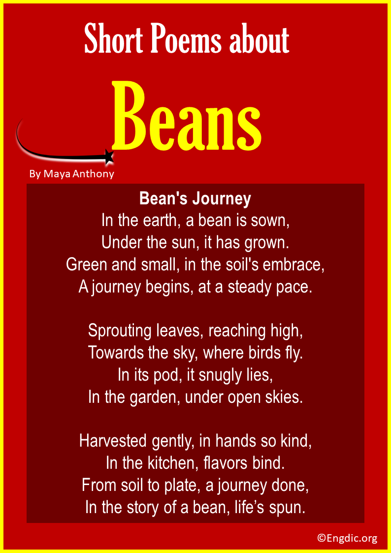 Short Poems about Beans