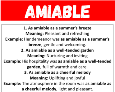 Best Similes for Amiable (With Meanings & Examples)