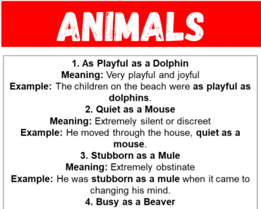 20 Best Similes for Animals (With Meanings & Examples)