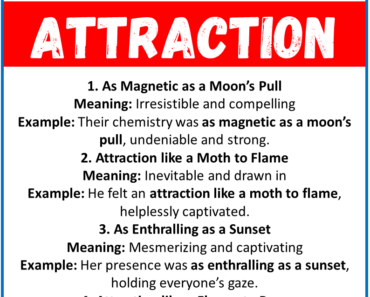 20 Best Similes for Attraction (With Meanings & Examples)