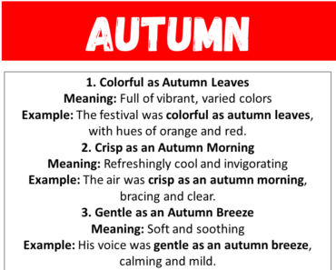 20 Best Similes for Autumn (With Meanings & Examples)