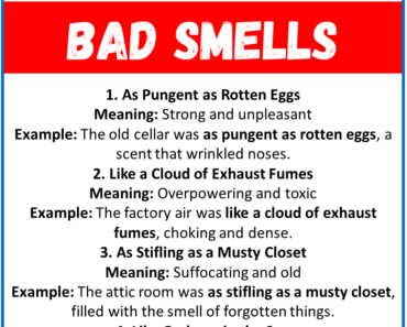 20 Best Similes for Bad Smells