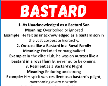 20 Best Similes for Bastard (With Meanings & Examples)