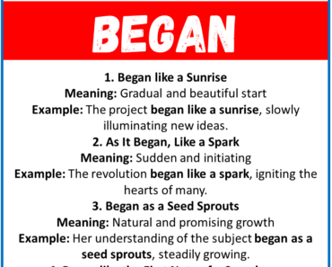 20 Best Similes for Began (With Meanings & Examples)