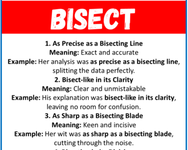 20 Best Similes for Bisect (With Meanings & Examples)