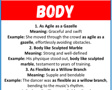 20 Best Similes for Body (With Meanings & Examples)