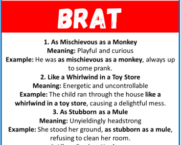 20 Best Similes for Brat (With Meanings & Examples)