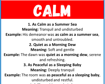 20 Best Similes for Calm