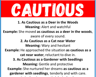 20 Best Similes for Cautious (With Meanings & Examples)