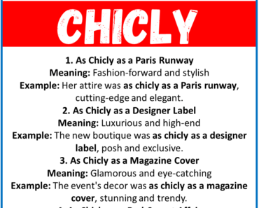 20 Best Similes for Chicly (With Meanings & Examples)
