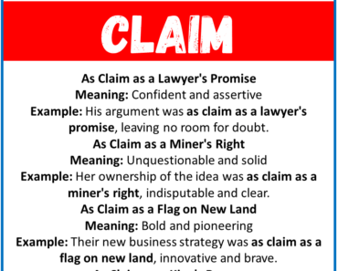 20 Best Similes for Claim (With Meanings & Examples)