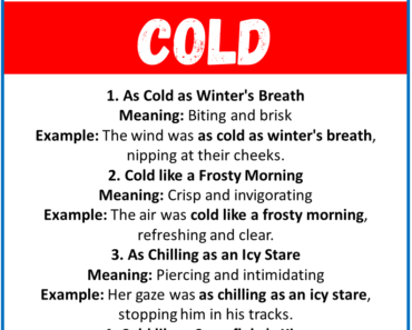 20 Best Similes for Cold (With Meanings & Examples)